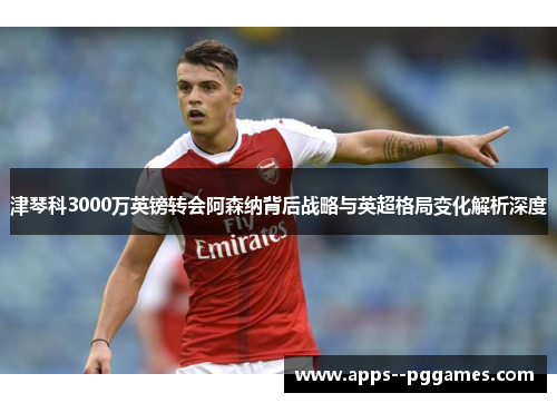 津琴科3000万英镑转会阿森纳背后战略与英超格局变化解析深度 津琴科3000万英镑转会阿森纳背后战略与英超格局变化解析深度